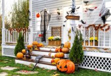 Halloween Decorations