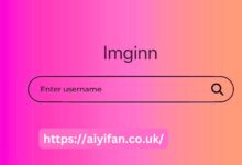 Imginn