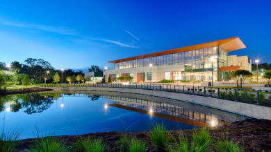 Wellness in Florida