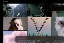 Best Image to Video Generators