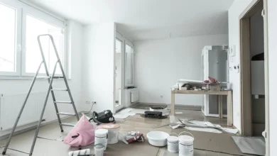 Renovation Chaos