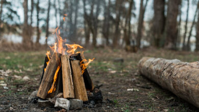 Firewood Tree