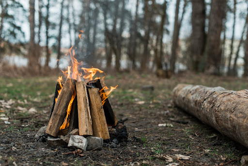 Firewood Tree