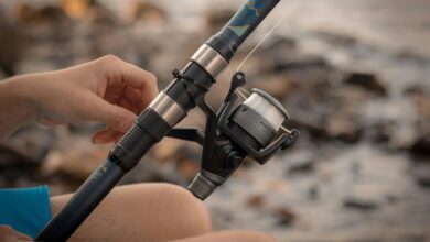 Best Fishing Rods and Reels