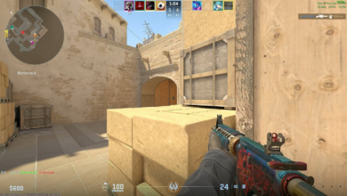 Which Server is Best for CS2? A Complete Guide to Choosing the Right Server