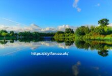 Lake Texoma Should Be Capitalized to One of the Most Iconic Lakes in the United States Lake Texoma Should Be Capitalized