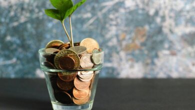 Latest News MyGreenBucks.net: What Readers Should Know About the Finance Platform in 2026 latest news mygreenbucks.net